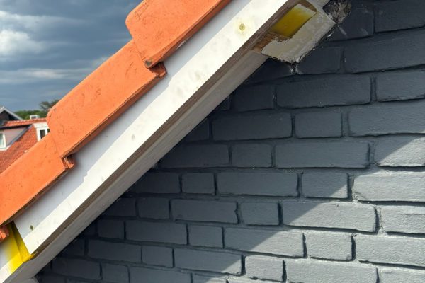 houtrotherstel nieuw